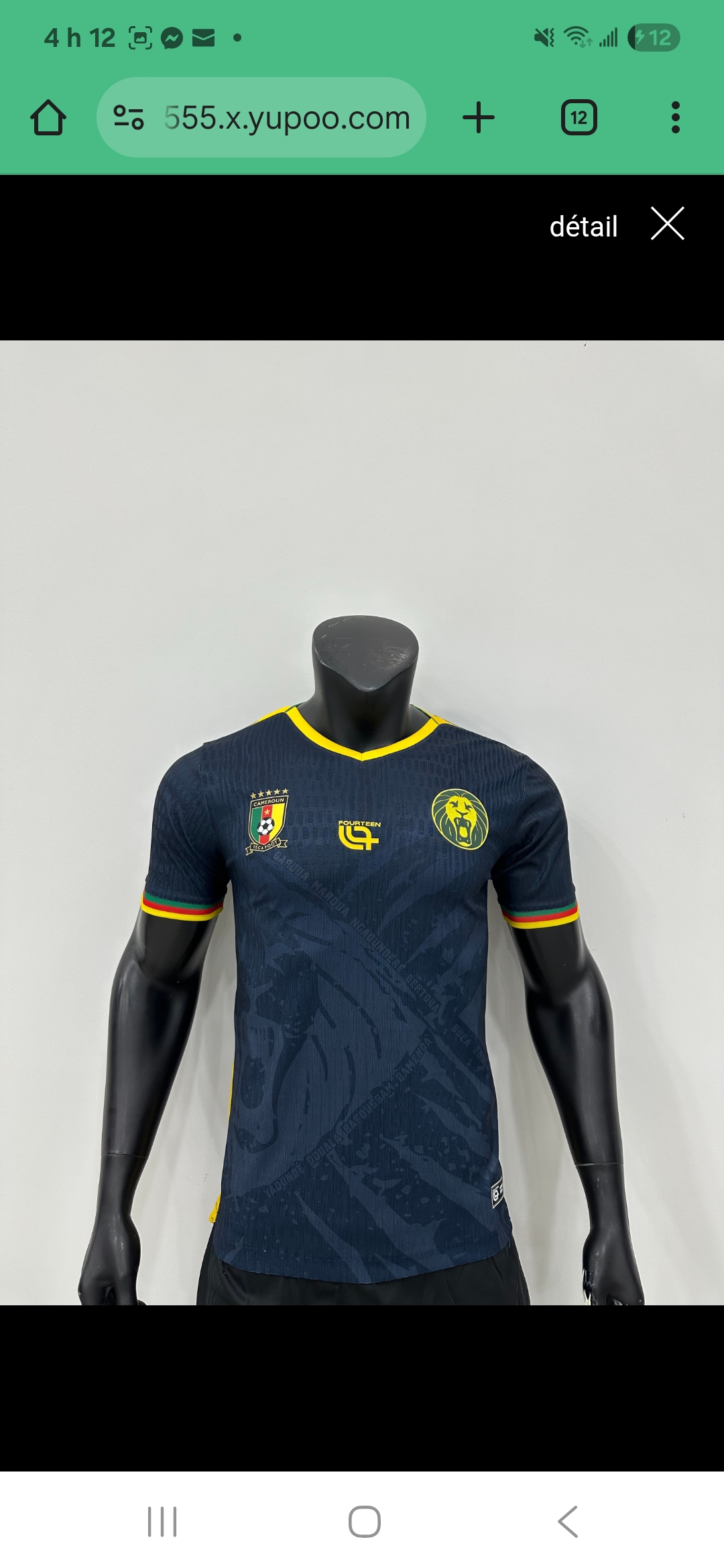 Image du produit Maillot Du Cameroun